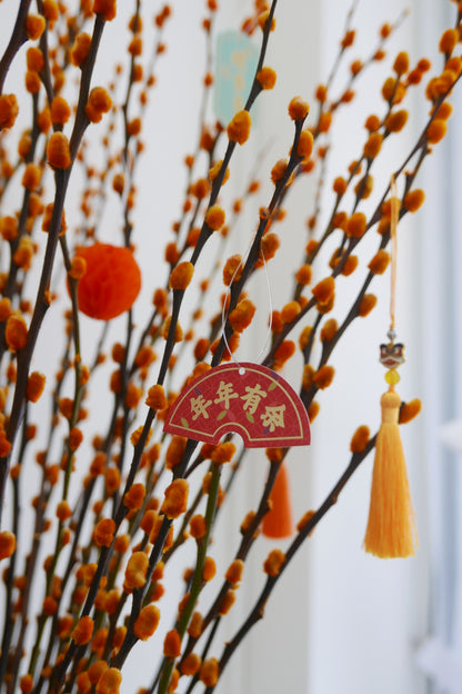 Spring Willow Bloom Box