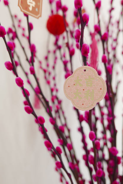 Spring Willow Bloom Box