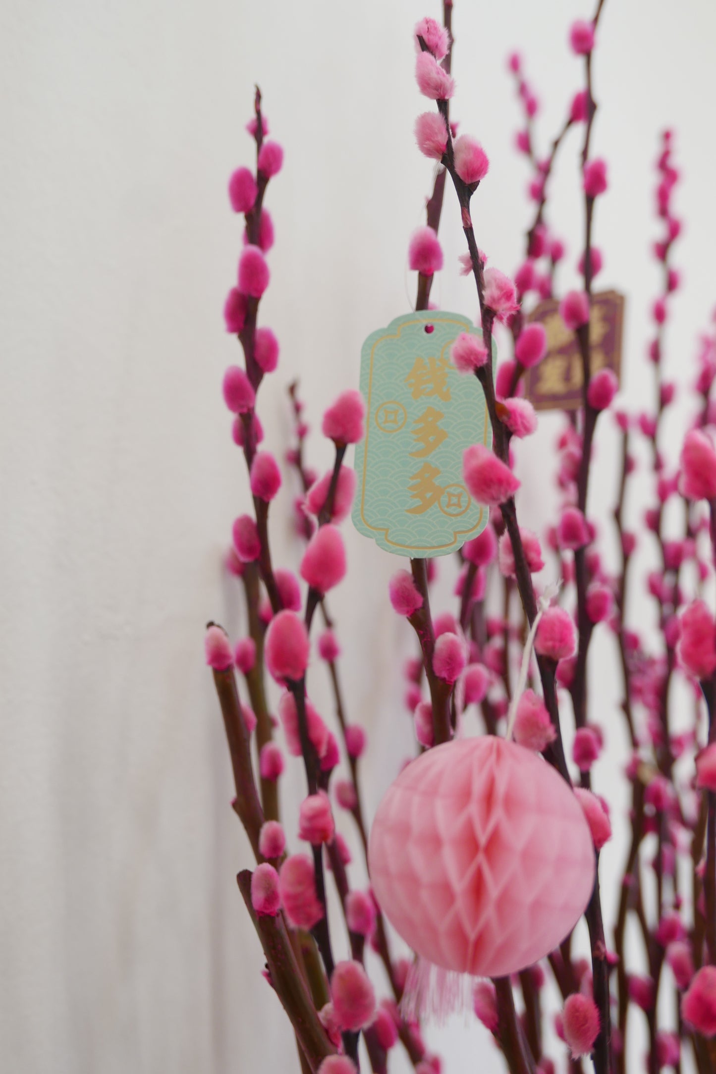 Spring Willow Bloom Box